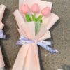 Tulip Sáp - T117