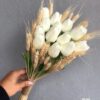 Tulip Sáp - T123